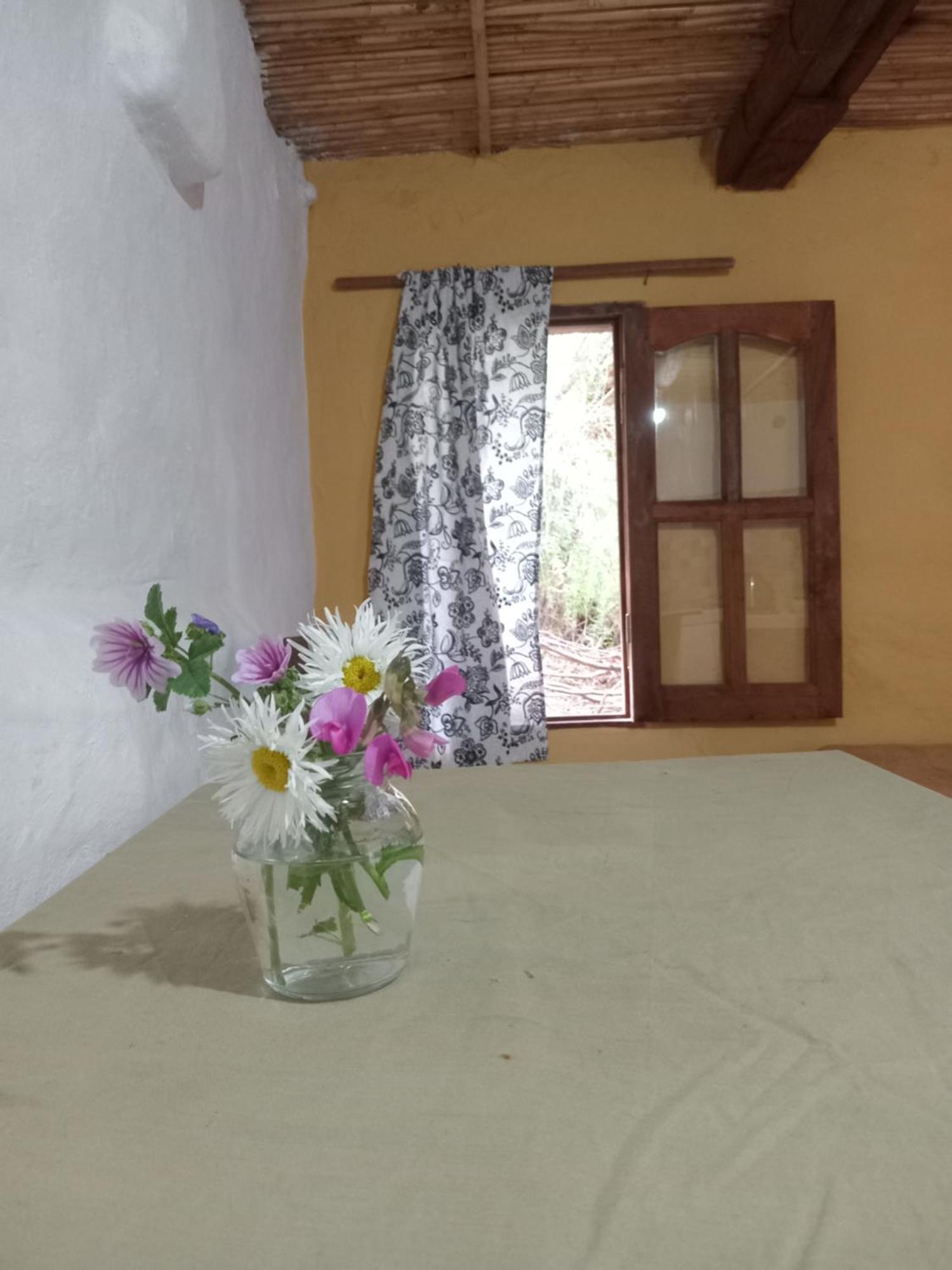 Homestay Doble Con Bano Privado